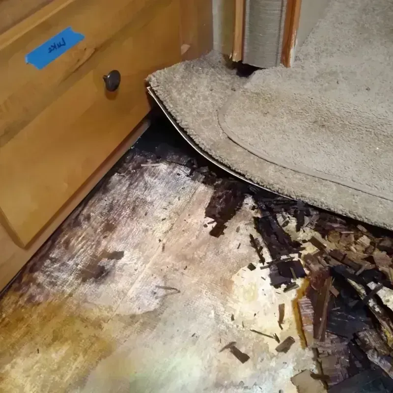 Wood Floor Water Damage in New Burlington, OH